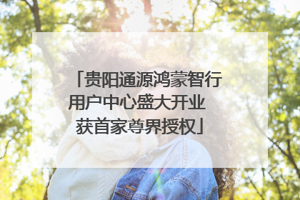 贵阳通源鸿蒙智行用户中心盛大开业 获首家尊界授权