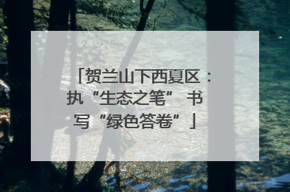 贺兰山下西夏区：执“生态之笔” 书写“绿色答卷”