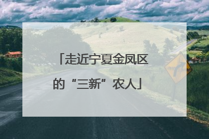 走近宁夏金凤区的“三新”农人