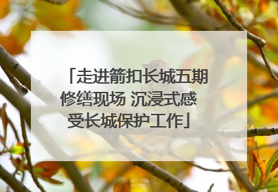 走进箭扣长城五期修缮现场 沉浸式感受长城保护工作