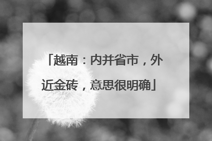越南：内并省市，外近金砖，意思很明确