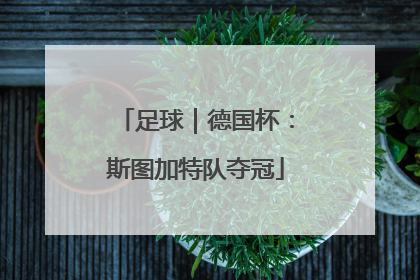 足球｜德国杯：斯图加特队夺冠
