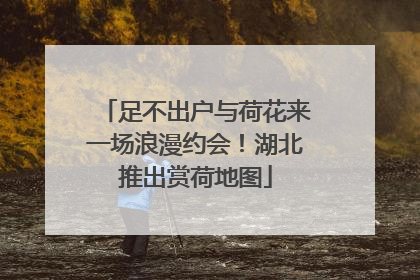 足不出户与荷花来一场浪漫约会！湖北推出赏荷地图