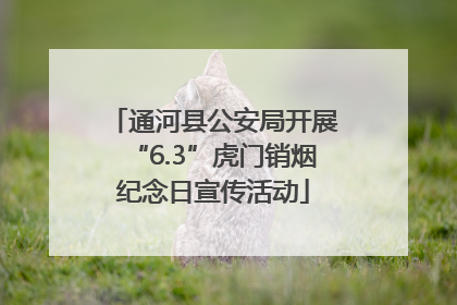 通河县公安局开展“6.3”虎门销烟纪念日宣传活动