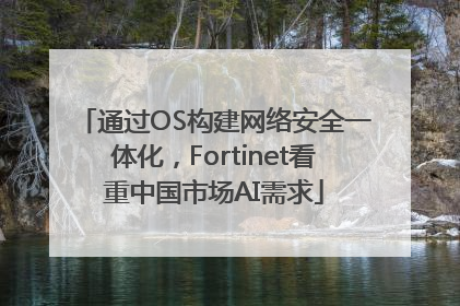 通过OS构建网络安全一体化，Fortinet看重中国市场AI需求