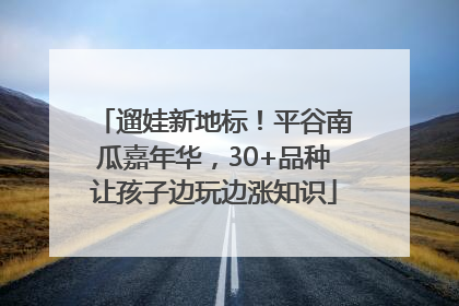 遛娃新地标！平谷南瓜嘉年华，30+品种让孩子边玩边涨知识