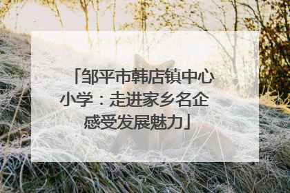 邹平市韩店镇中心小学：走进家乡名企 感受发展魅力