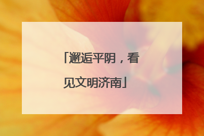 邂逅平阴，看见文明济南
