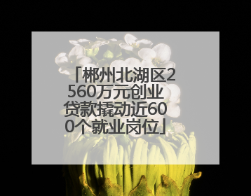 郴州北湖区2560万元创业贷款撬动近600个就业岗位