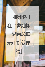 郴州选手在“曹灿杯”湖南总展示中斩获佳绩