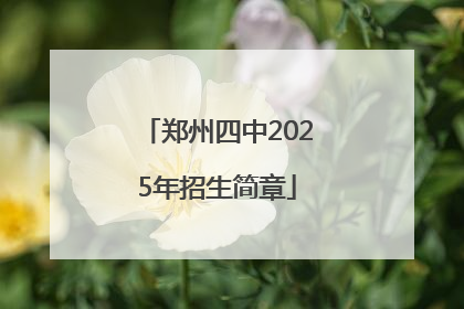 郑州四中2025年招生简章