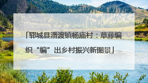 郓城县潘渡镇杨庙村：草藤编织“编”出乡村振兴新图景