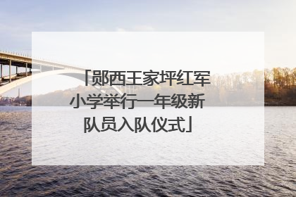 郧西王家坪红军小学举行一年级新队员入队仪式