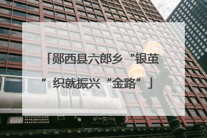 郧西县六郎乡“银茧”织就振兴“金路”