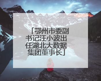 鄂州市委副书记汪小波出任湖北大数据集团董事长