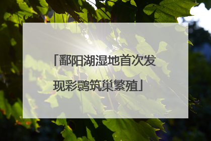 鄱阳湖湿地首次发现彩鹮筑巢繁殖