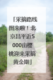 采摘路线图来啦！北京昌平近5000亩樱桃迎来采摘黄金期