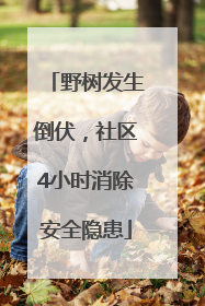 野树发生倒伏，社区4小时消除安全隐患
