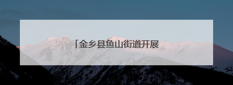 金乡县鱼山街道开展“三防”护苗活动