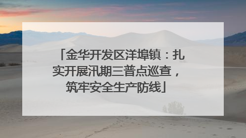 金华开发区洋埠镇：扎实开展汛期三普点巡查，筑牢安全生产防线