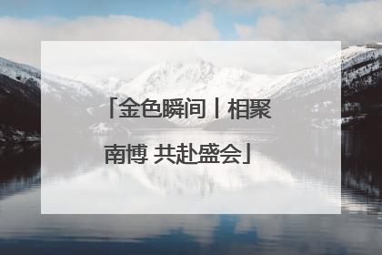金色瞬间丨相聚南博 共赴盛会