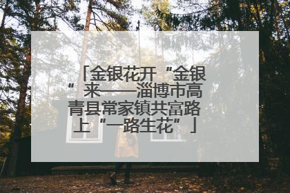 金银花开“金银”来——淄博市高青县常家镇共富路上“一路生花”