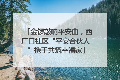 金锣敲响平安曲，西厂口社区“平安合伙人”携手共筑幸福家