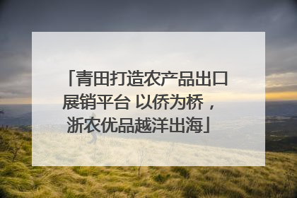 青田打造农产品出口展销平台 以侨为桥，浙农优品越洋出海