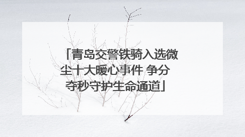青岛交警铁骑入选微尘十大暖心事件 争分夺秒守护生命通道