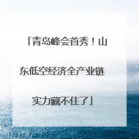 青岛峰会首秀！山东低空经济全产业链实力藏不住了