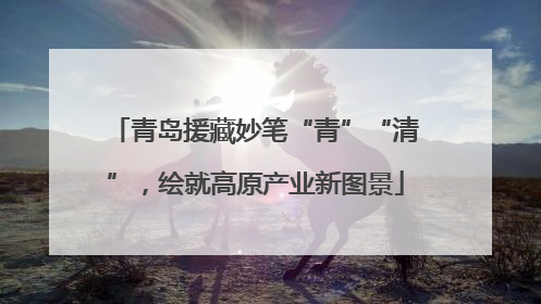 青岛援藏妙笔“青”“清”，绘就高原产业新图景