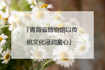 青海省博物馆以传统文化浸润童心