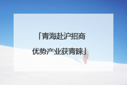 青海赴沪招商 优势产业获青睐
