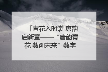 青花入时裳 唐韵启新章——“唐韵青花 数创未来”数字文创设计大赛启幕