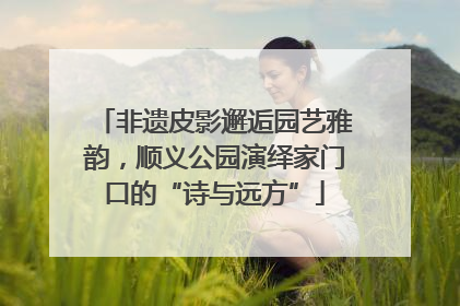 非遗皮影邂逅园艺雅韵，顺义公园演绎家门口的“诗与远方”