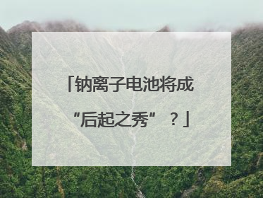 钠离子电池将成“后起之秀”？