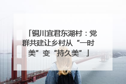 铜川宜君东湖村：党群共建让乡村从“一时美”变“持久美”