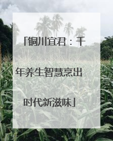 铜川宜君：千年养生智慧烹出时代新滋味