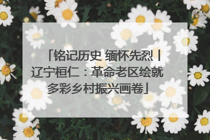 铭记历史 缅怀先烈丨辽宁桓仁：革命老区绘就多彩乡村振兴画卷