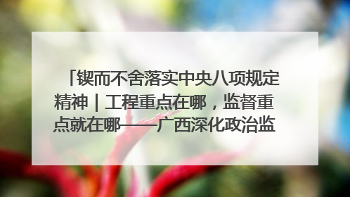 锲而不舍落实中央八项规定精神｜工程重点在哪，监督重点就在哪——广西深化政治监督护航平陆运河建设