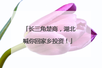 长三角楚商，湖北喊你回家乡投资！