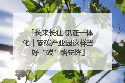 长来长往·见证一体化｜零碳产业园这样当好“碳”路先锋