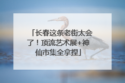 长春这条老街太会了！顶流艺术展+神仙市集全拿捏