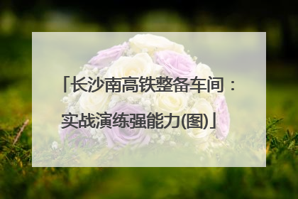 长沙南高铁整备车间：实战演练强能力(图)