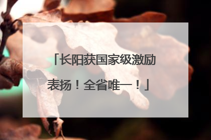 长阳获国家级激励表扬！全省唯一！
