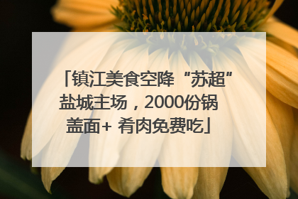 镇江美食空降“苏超”盐城主场，2000份锅盖面+ 肴肉免费吃