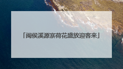 闽侯溪源寨荷花盛放迎客来