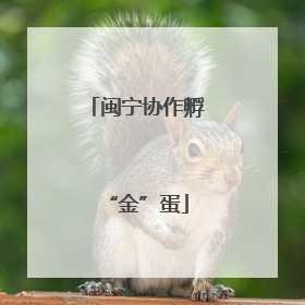 闽宁协作孵“金”蛋