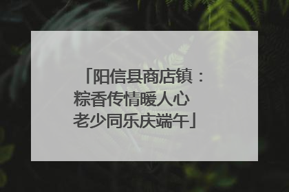 阳信县商店镇：粽香传情暖人心 老少同乐庆端午