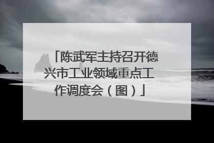 陈武军主持召开德兴市工业领域重点工作调度会（图）
